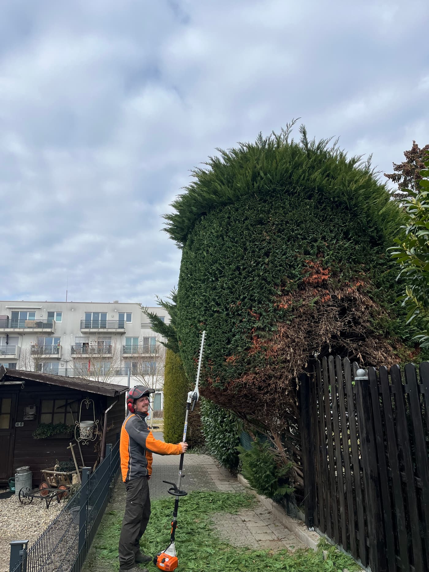 Präzise Arbeit mit der Heckenschere